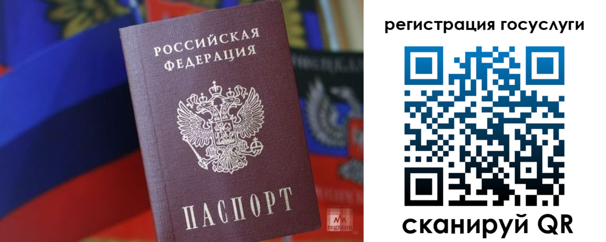 прописка от собственника в Светлогорске